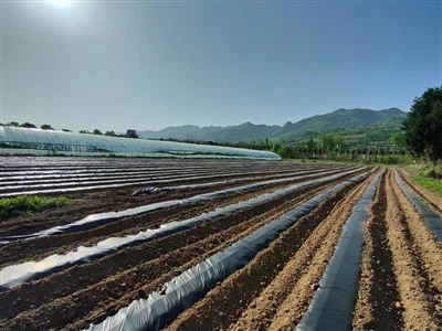 فيلم المهاد القابلة للتحلل